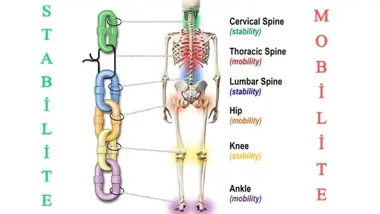 Kinetik Zincir Nedir?